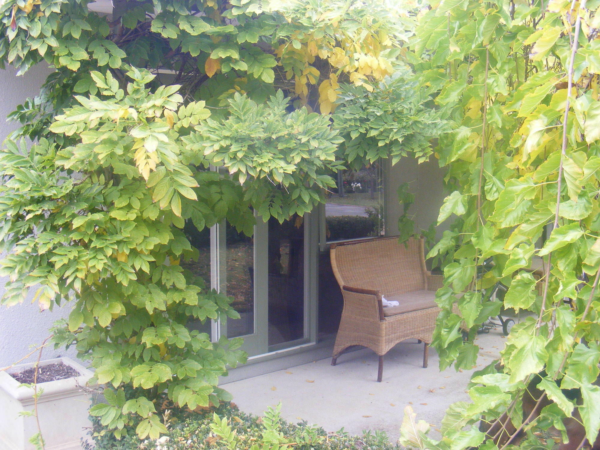 Weeroona Bed And Breakfast Rye Luaran gambar